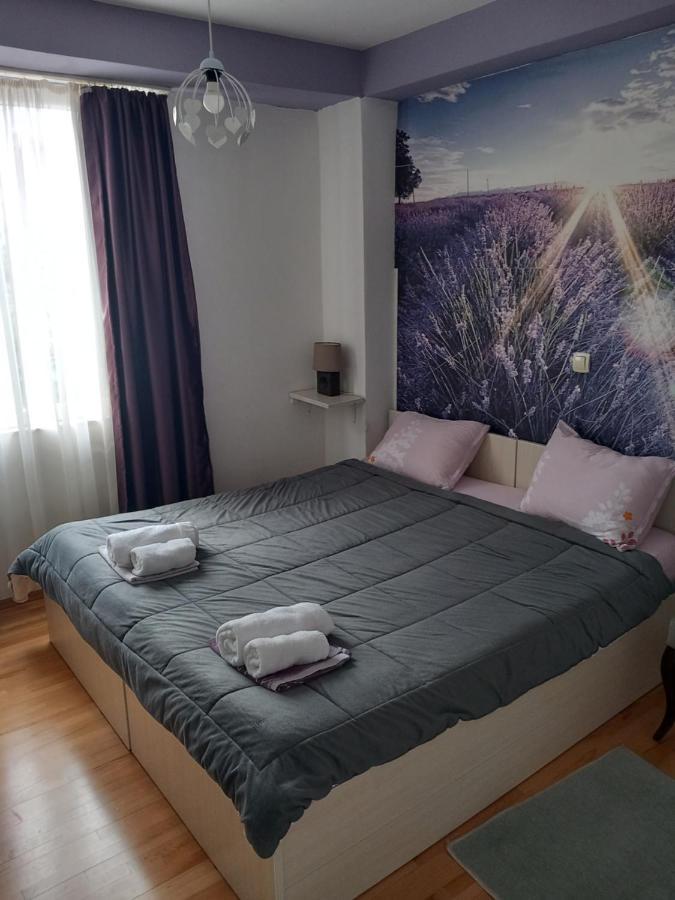 City Apartment Ohrid Bagian luar foto